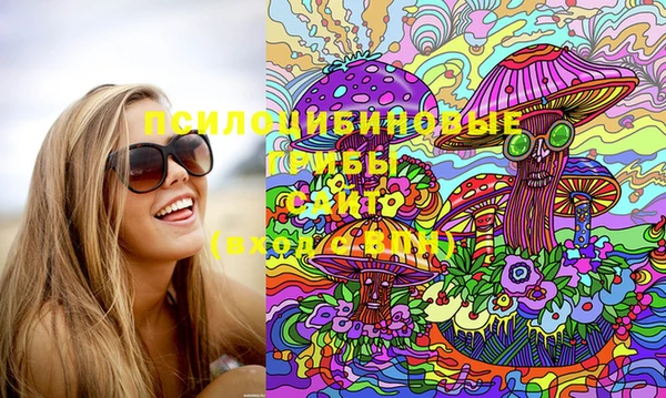 прущие грибы Абинск