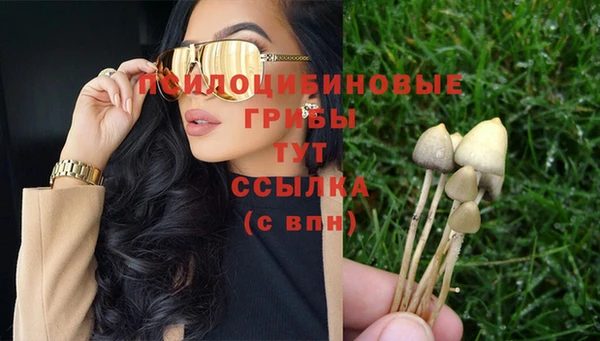 кокс Абдулино