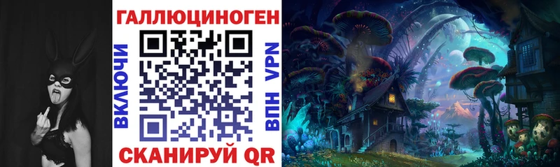 Галлюциногенные грибы мицелий  Новокубанск 