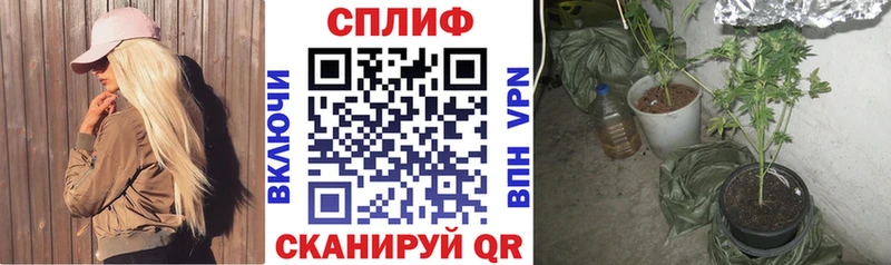 Каннабис Ganja Новокубанск